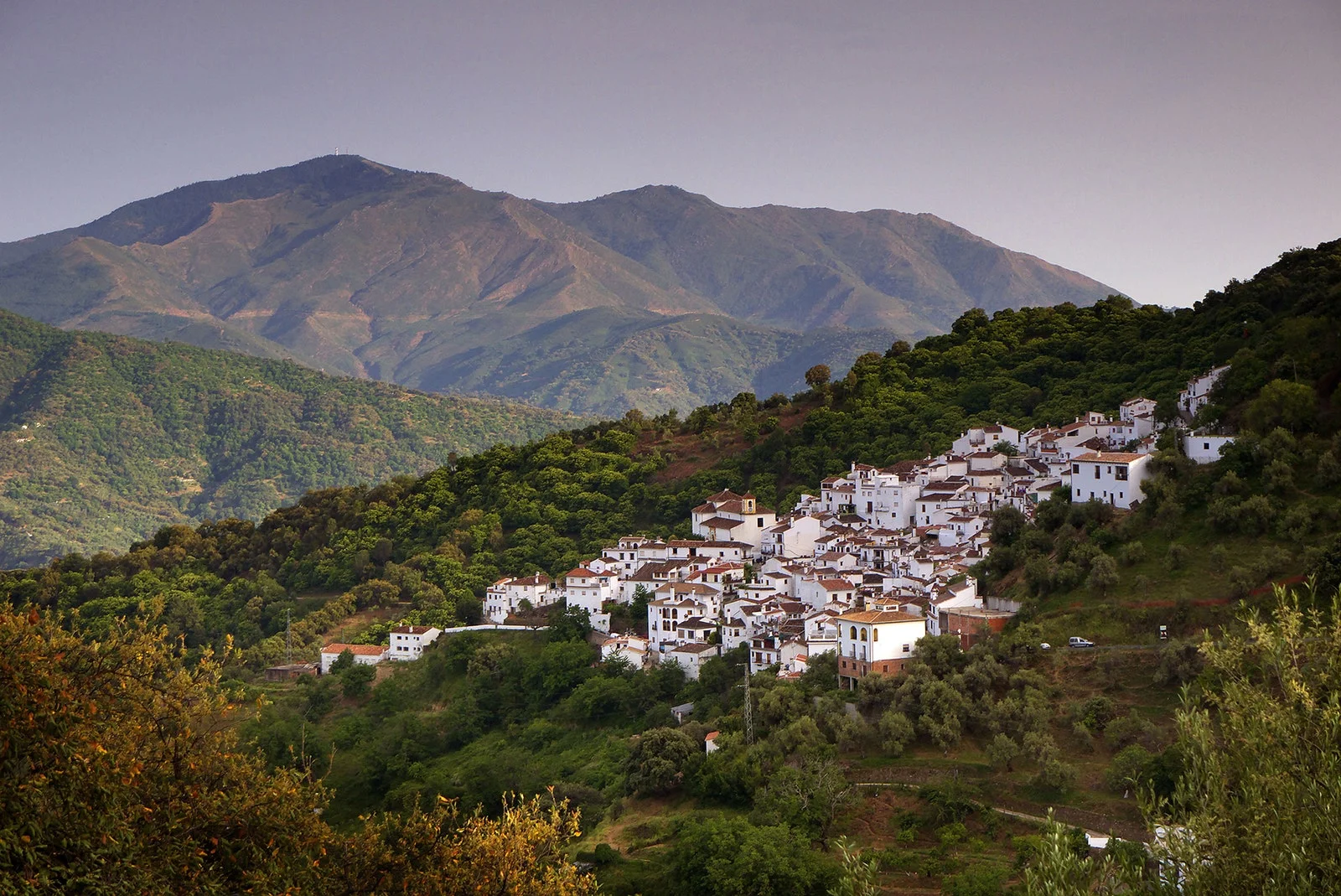 Benalauría