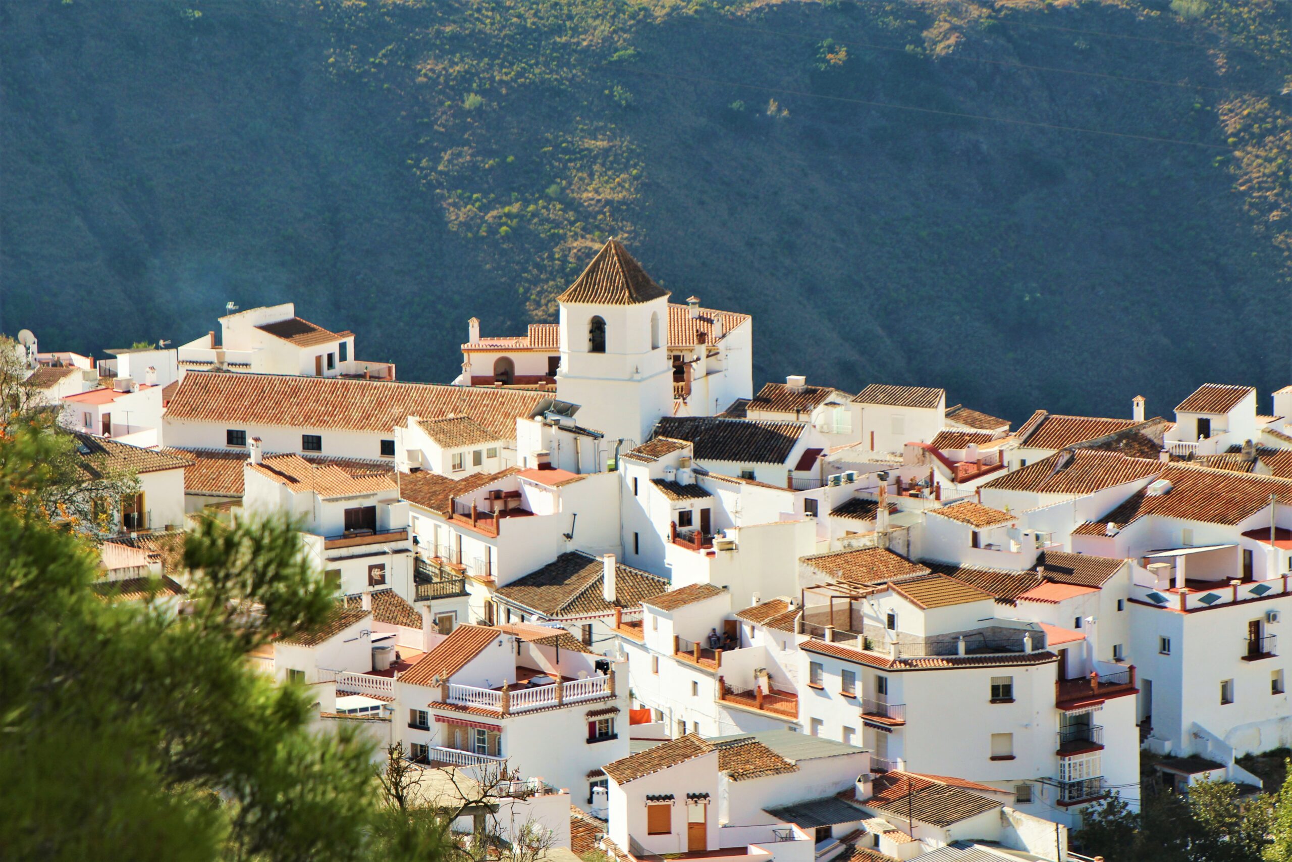 Canillas de Aceituno