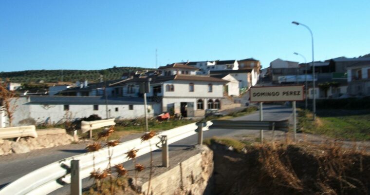 Domingo Pérez de Granada